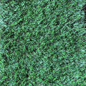 Pasto Ornamental 20mm (m2) 2m